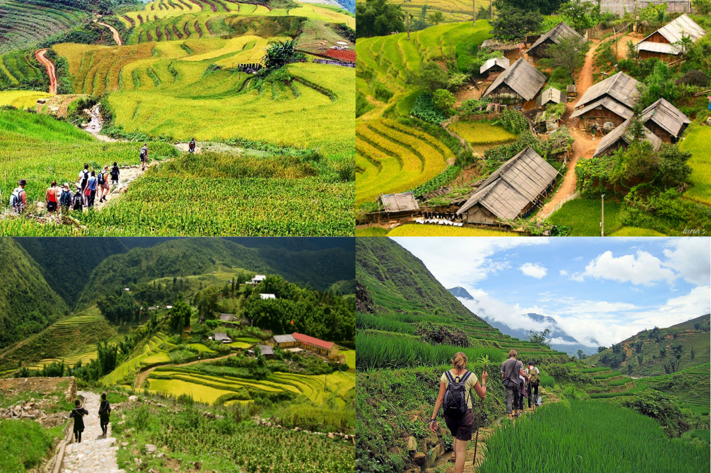 diem-den-du-lich-trai-nghiem-trekking-sapa-vuot-qua-thu-thach-kham-pha-ban-than-61