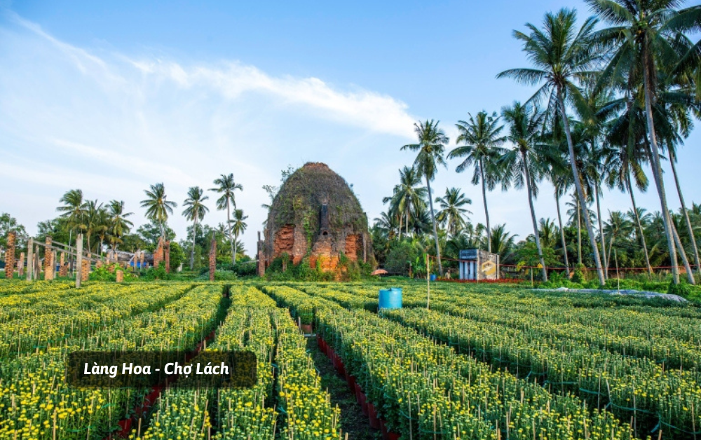 diem-den-du-lich-du-lich-ben-tre-hanh-trinh-kham-pha-xu-dua-xanh-mat-351