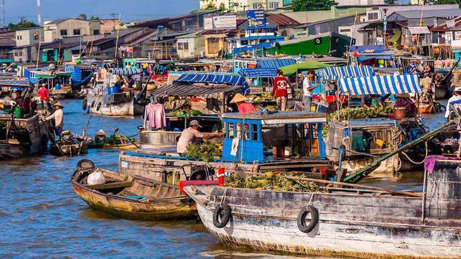 diem-den-du-lich-du-lich-ca-mau-kham-pha-vung-dat-cuoi-cung-cua-to-quoc-104