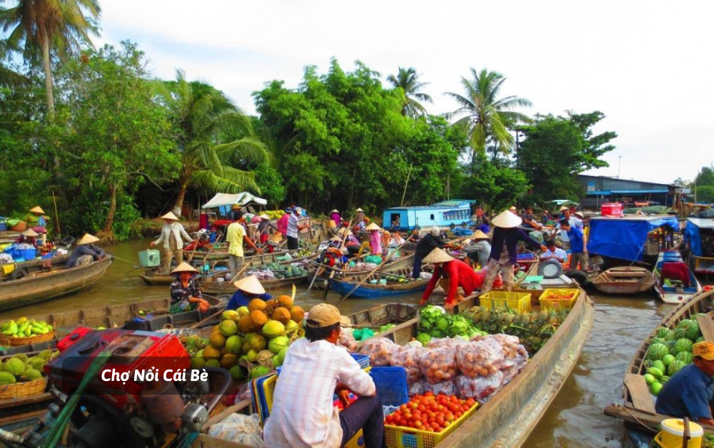 diem-den-du-lich-du-lich-vinh-long-hanh-trinh-kham-pha-vung-dat-song-nuoc-mien-tay-tho-mong-360