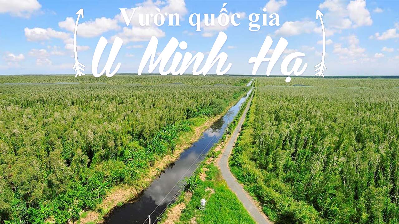 diem-den-du-lich-du-lich-ca-mau-vung-dat-cuc-nam-to-quoc-279