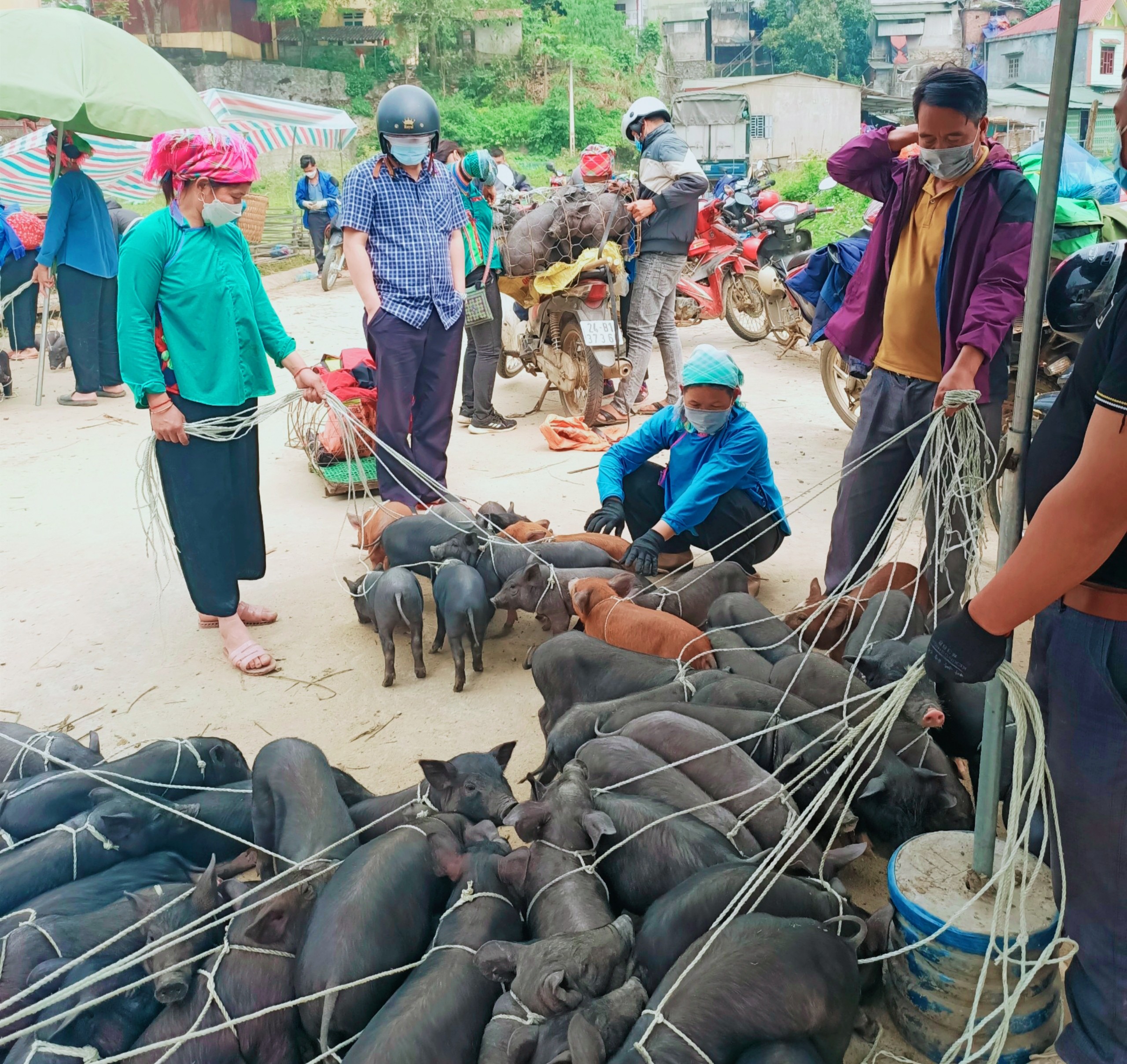 diem-den-du-lich-kham-pha-cho-phien-lao-cai-sac-mau-van-hoa-va-huong-vi-tay-bac-272