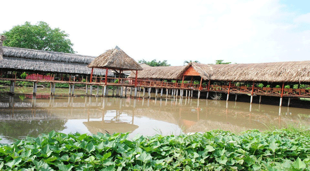 diem-den-du-lich-con-phung-ben-tre-thien-duong-sinh-thai-mien-tay-kinh-nghiem-du-lich-moi-nhat-19