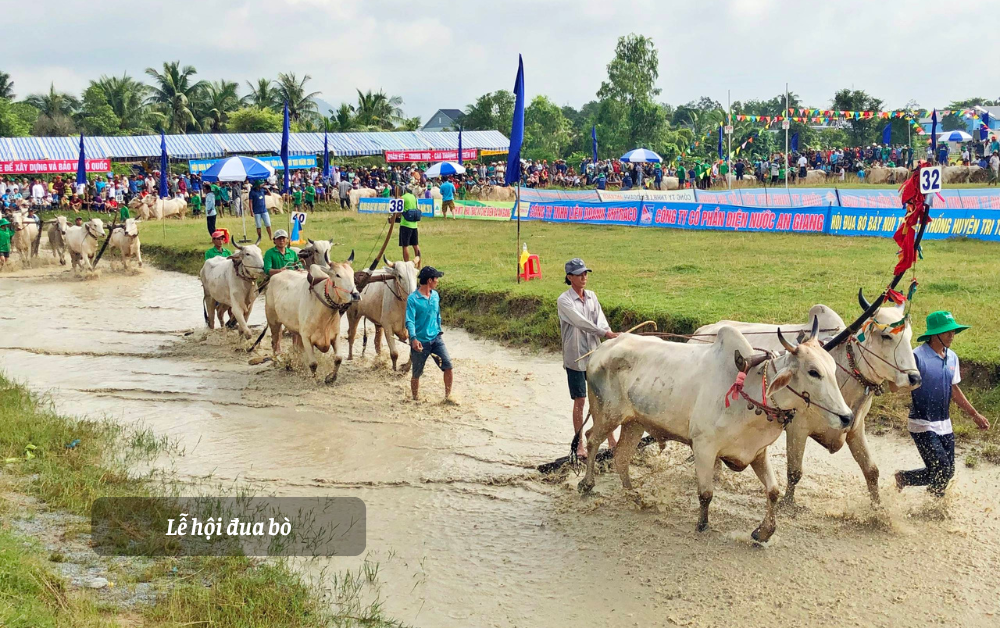 diem-den-du-lich-du-lich-an-giang-hanh-trinh-kham-pha-mien-dat-that-son-huyen-bi-348