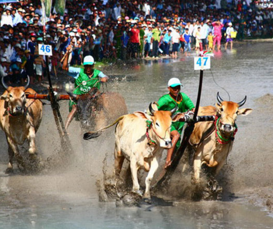 diem-den-du-lich-nhung-trai-nghiem-thu-vi-khi-du-lich-an-giang-122