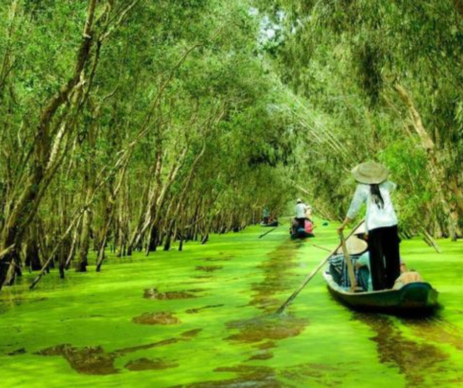 diem-den-du-lich-trai-nghiem-nhung-diem-du-lich-hap-dan-o-chau-doc-141