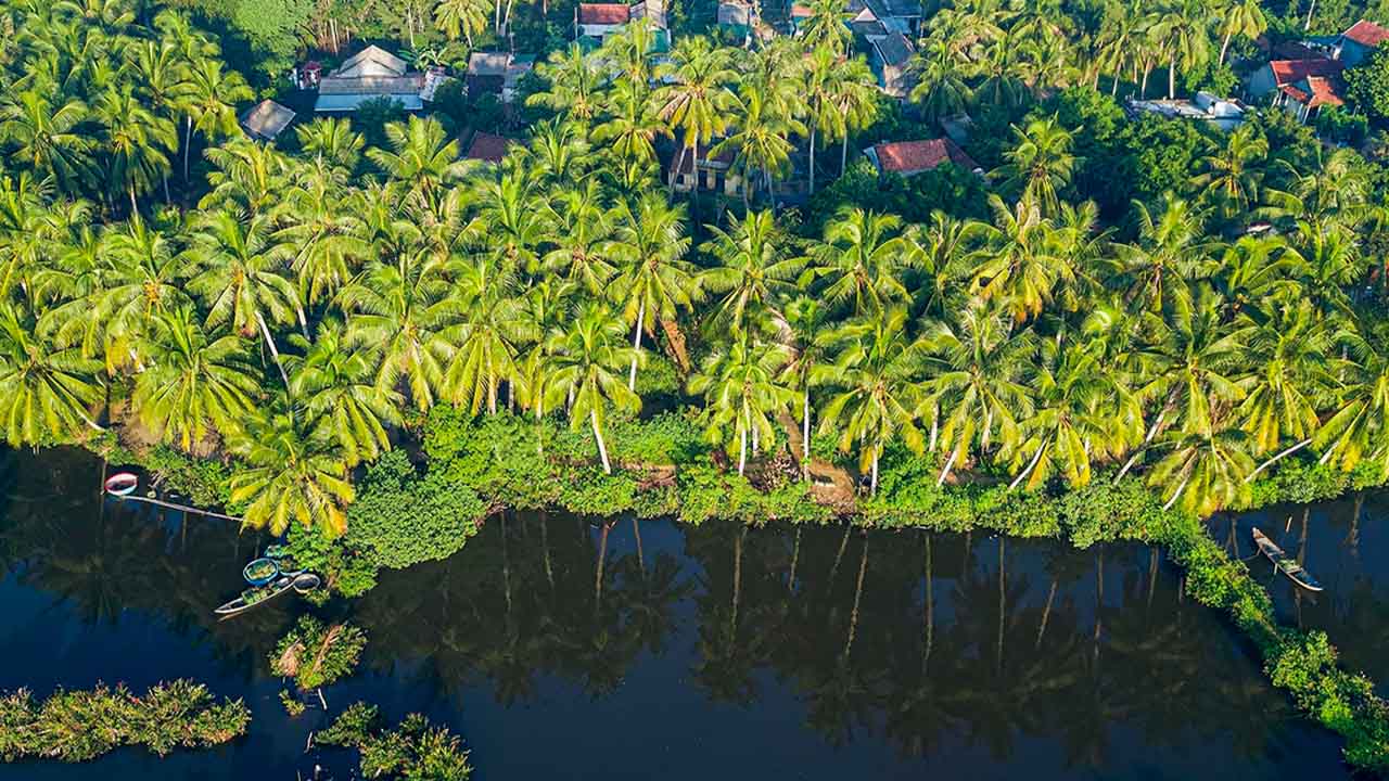 diem-den-du-lich-nhung-trai-nghiem-khong-the-bo-qua-khi-du-lich-4-con-ben-tre-50