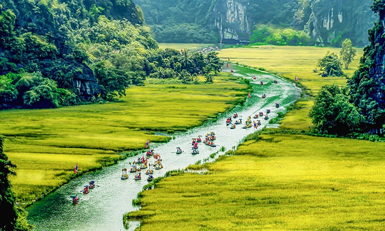 diem-den-du-lich-kham-pha-lang-viet-co-hanh-trinh-nguoc-dong-thoi-gian-tai-ninh-binh-320