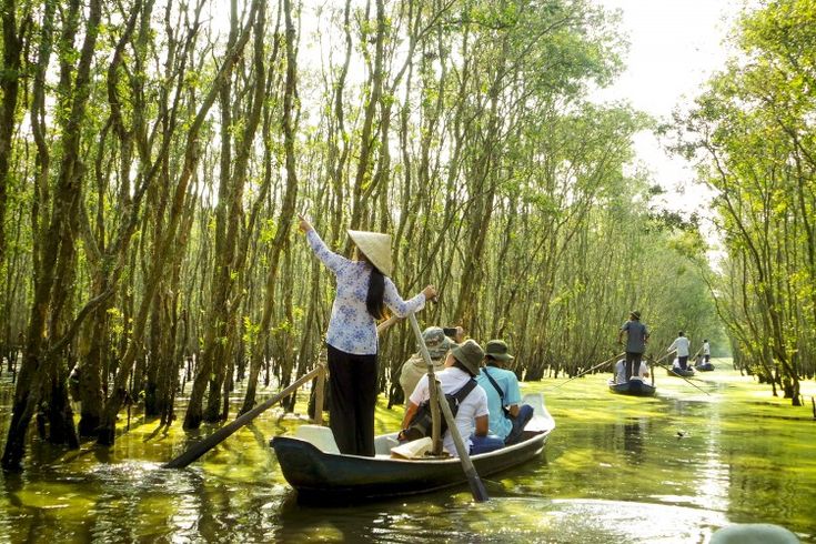 diem-den-du-lich-kham-pha-rung-tram-tra-su-thien-duong-sinh-thai-cua-mien-tay-16