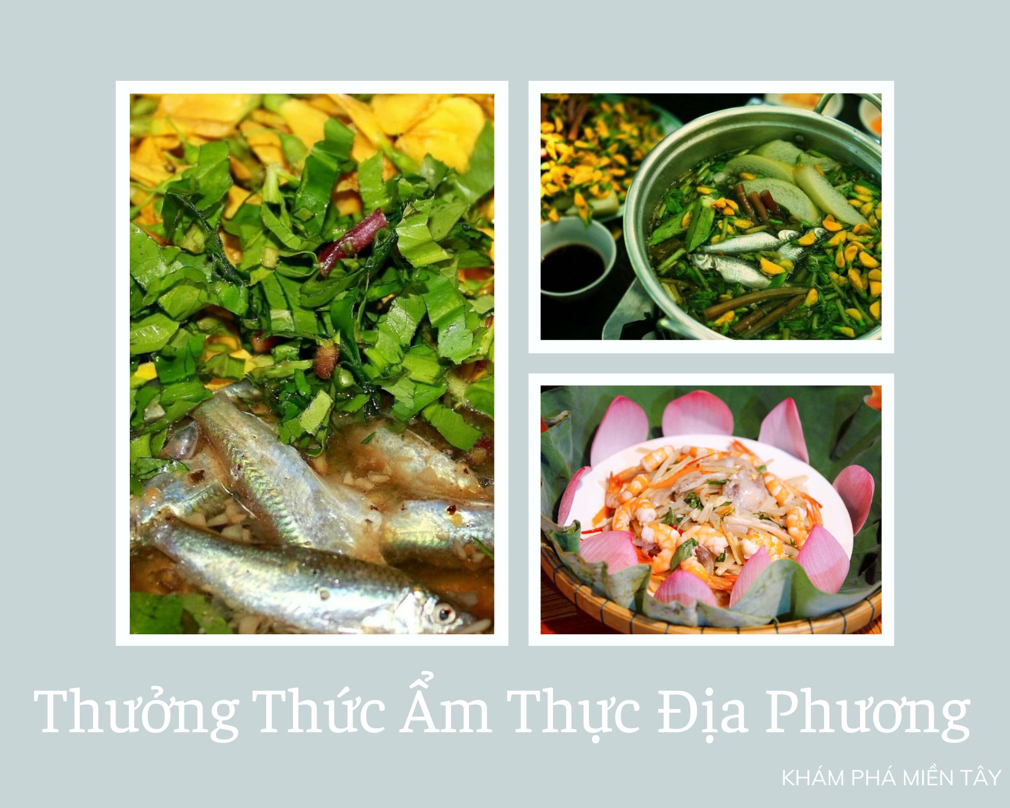 diem-den-du-lich-tham-quan-dong-thap-vung-dat-cua-nhung-canh-dong-sen-bat-ngat-54