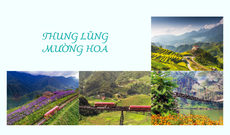 diem-den-du-lich-thung-lung-muong-hoa-ban-hoa-ca-cua-nui-rung-tay-bac-100