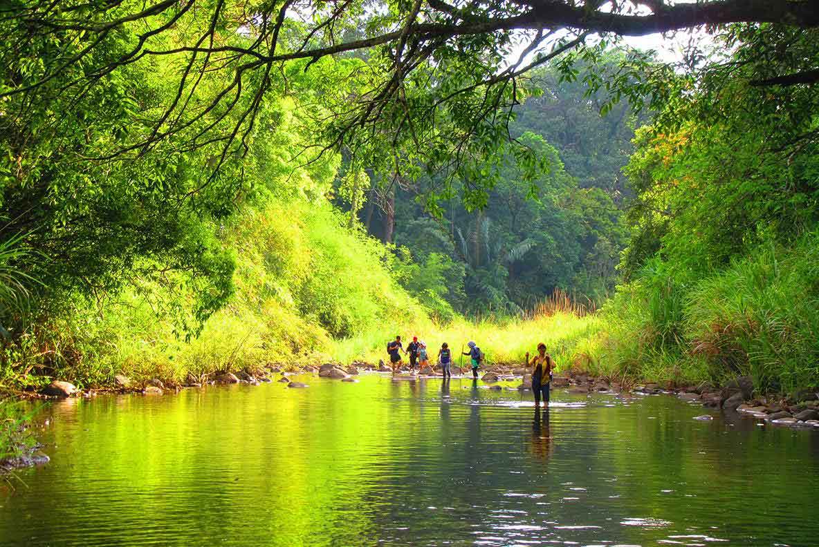 diem-den-du-lich-du-lich-binh-phuoc-diem-den-day-suc-hut-tai-mien-dong-nam-bo-257