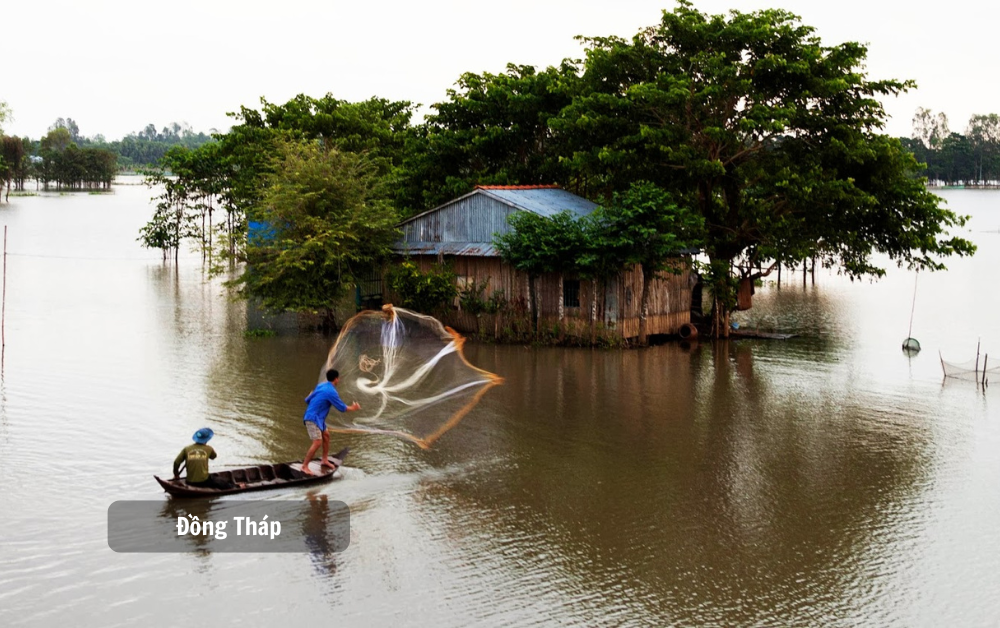 Tour du lịch Miền Tây 2 ngày 1 đêm Đồng Tháp