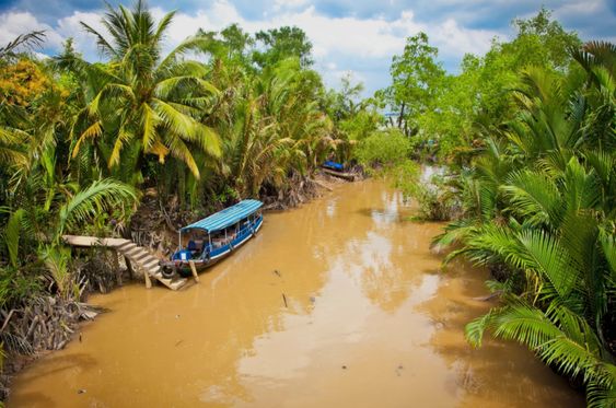 Bến Tre - Thiên đường trái cây và sông nước: Kinh nghiệm du lịch mới nhất