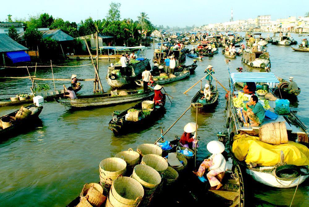 Khám Phá Du Lịch Sông Nước Tiền Giang: Trải Nghiệm Đầy Hấp Dẫn