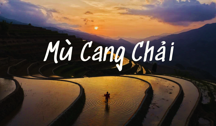 Trải nghiệm mùa lúa chín trên ruộng bậc thang Mù Cang Chải