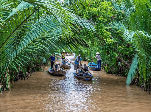 2 NGÀY 1 ĐÊM - XUÔI DÒNG CỬU LONG Du Lịch Miền Tây-1