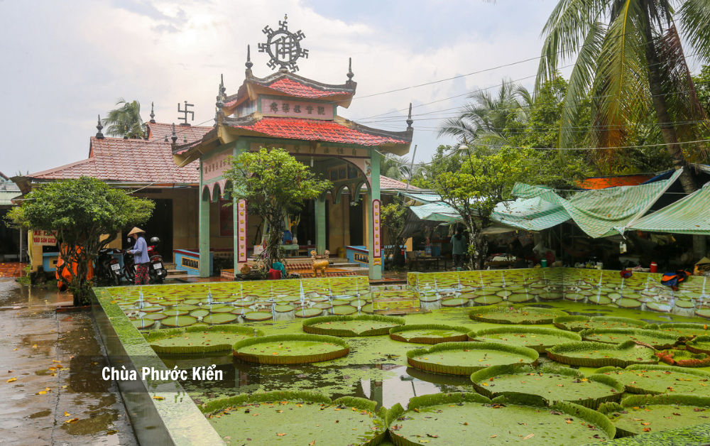 Tour du lịch Miền Tây 2 ngày 1 đêm Đồng Tháp Du Lịch Miền Tây-1